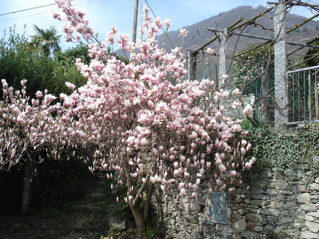 Casale Fe-Wo - Appartamenti Con Vista Lago 卡尼洛瑞维拉 外观 照片
